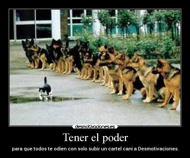 Tener el poder - 