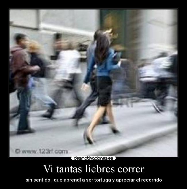 Vi tantas liebres correr -