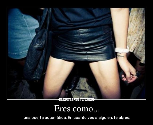 carteles cincolobitostienelaloba desmofamily pablo21 petalos alexpeace fedeminemrules desmotivaciones