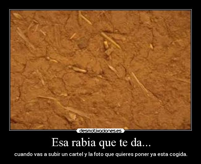 Esa rabia que te da... - cuando vas a subir un cartel y la foto que quieres poner ya esta cogida.