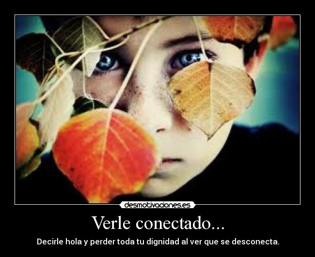 Verle conectado... -