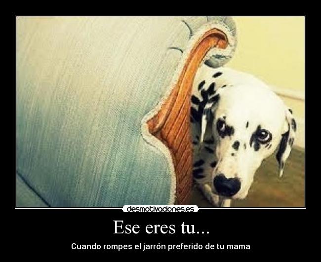 Ese eres tu... - Cuando rompes el jarrón preferido de tu mama