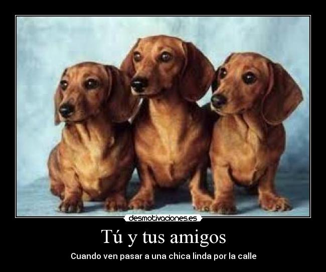 Tú y tus amigos - Cuando ven pasar a una chica linda por la calle