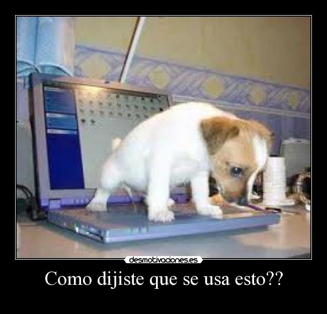 Como dijiste que se usa esto?? -