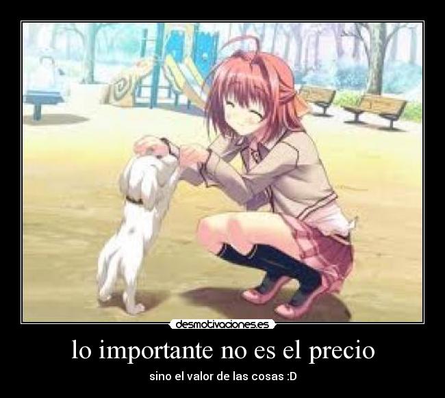 lo importante no es el precio -