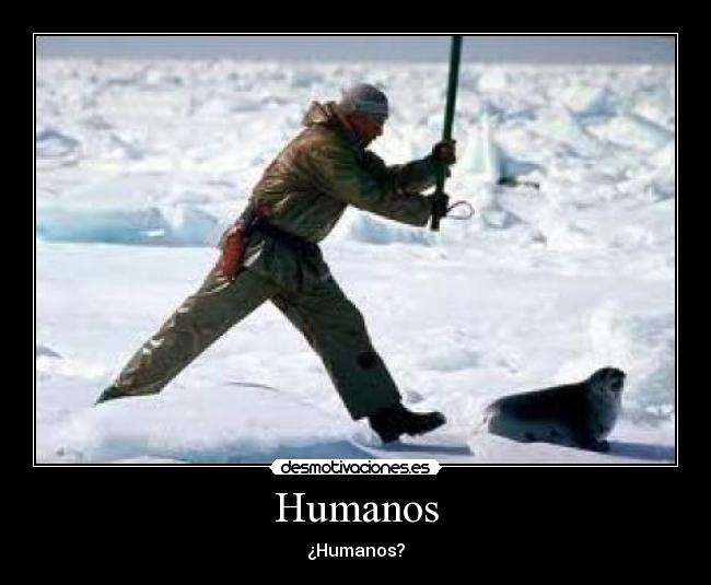 Humanos -