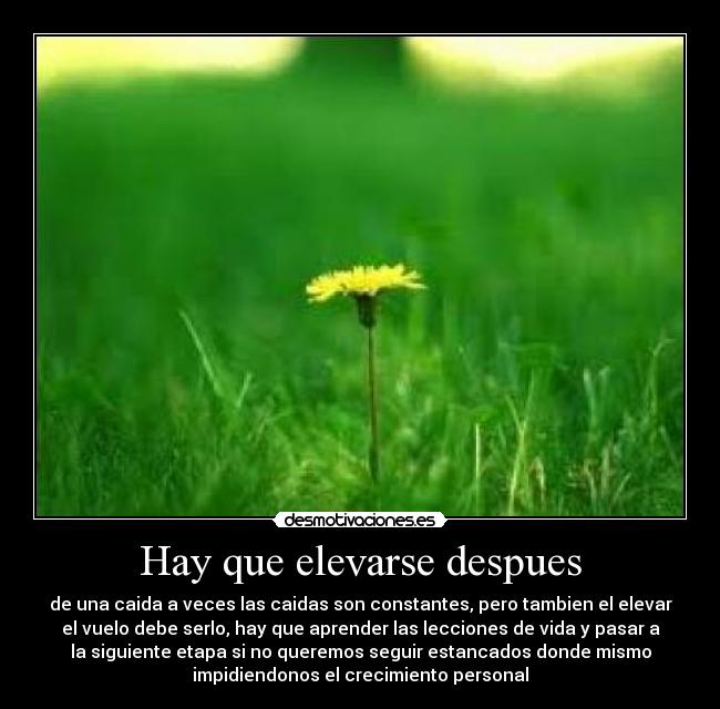 Hay que elevarse despues -