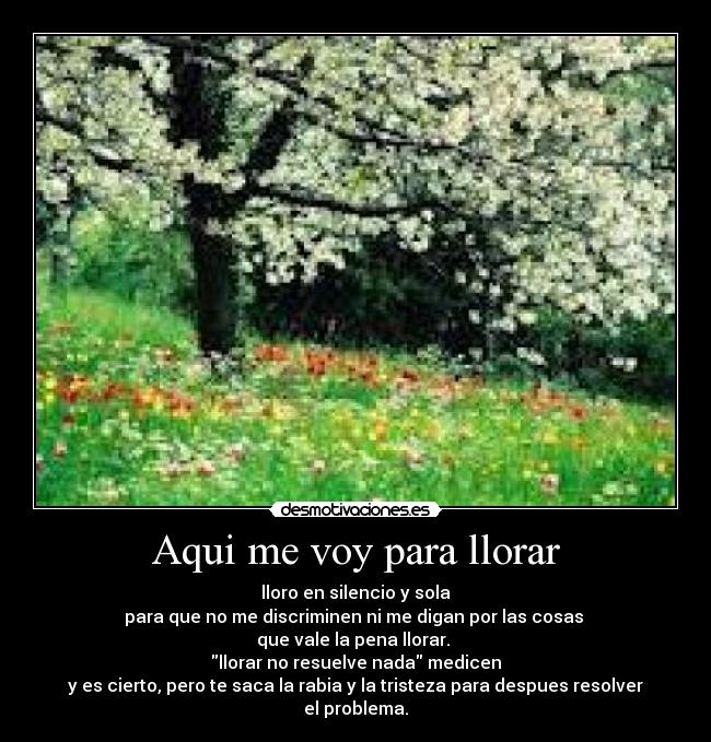Aqui me voy para llorar - lloro en silencio y sola
para que no me discriminen ni me digan por las cosas
que vale la pena llorar.
llorar no resuelve nada medicen
y es cierto, pero te saca la rabia y la tristeza para despues resolver el problema.