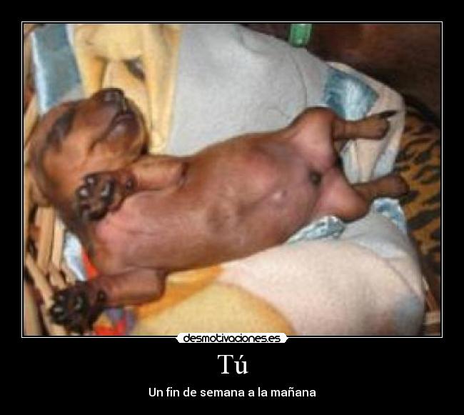 Tú - Un fin de semana a la mañana