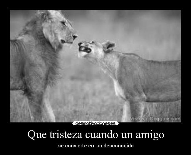 Que tristeza cuando un amigo - se convierte en un desconocido