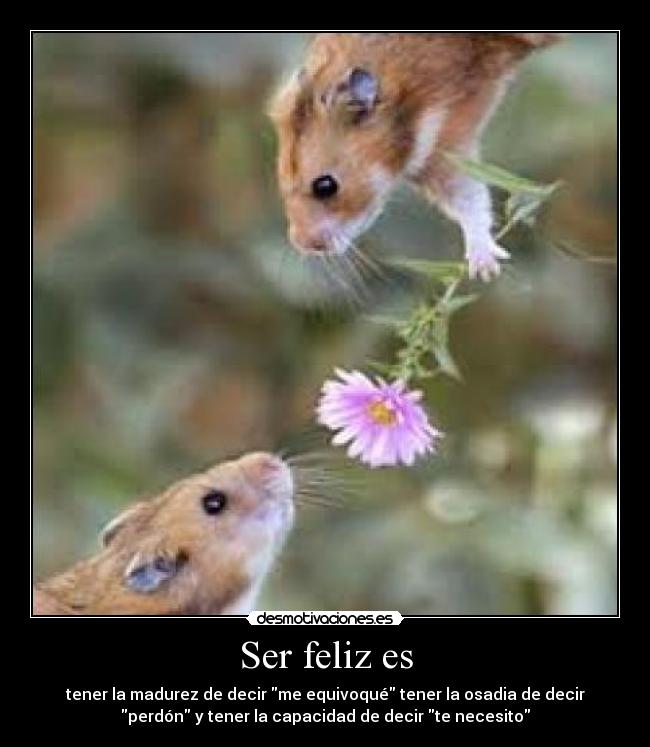 Ser feliz es -