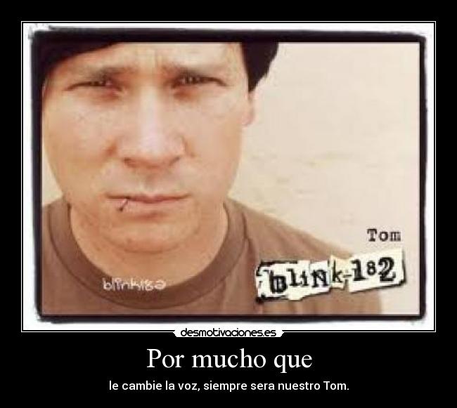 carteles blink 182 desmotivaciones