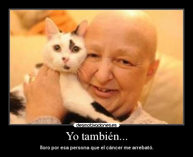 carteles arrate gil jaureguiii desmotivaciones