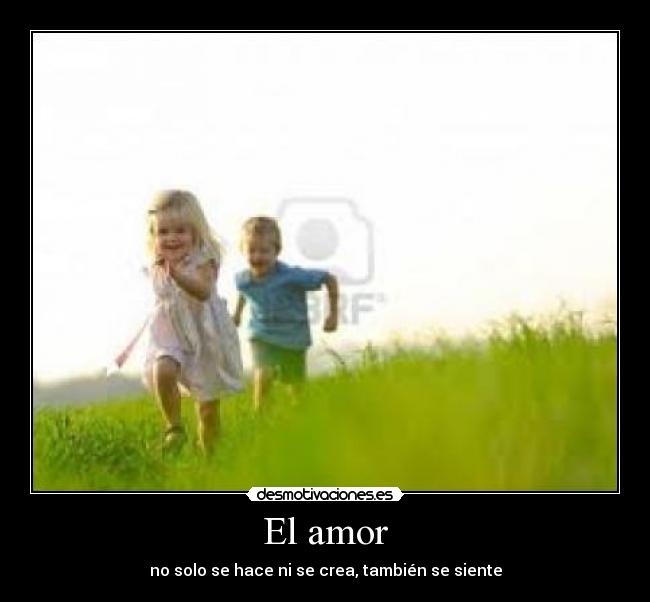 El amor - 