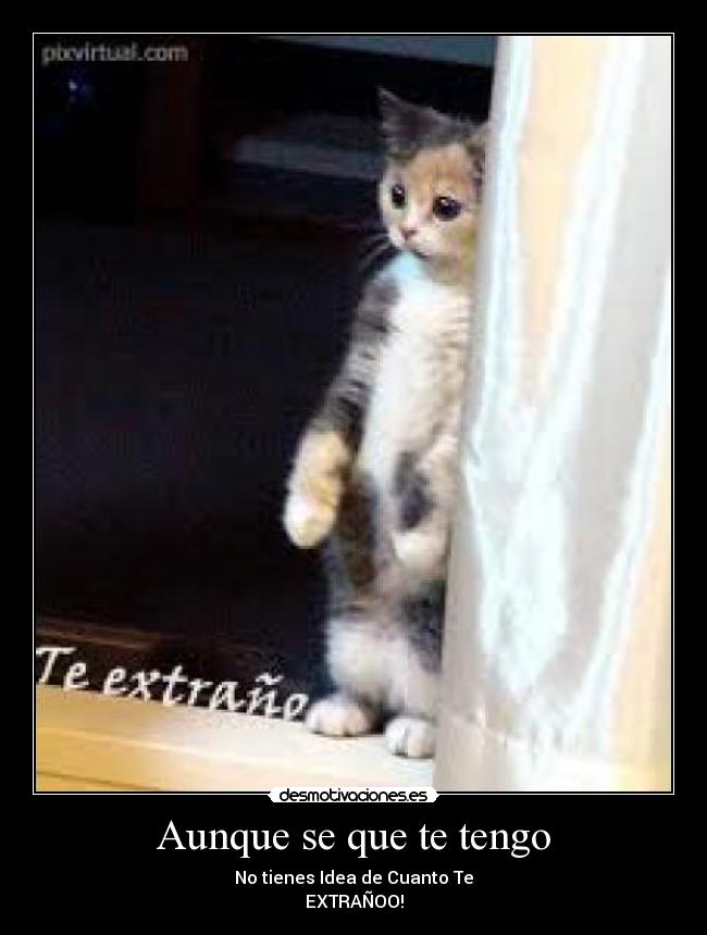 Aunque se que te tengo - No tienes Idea de Cuanto Te
EXTRAÑOO!