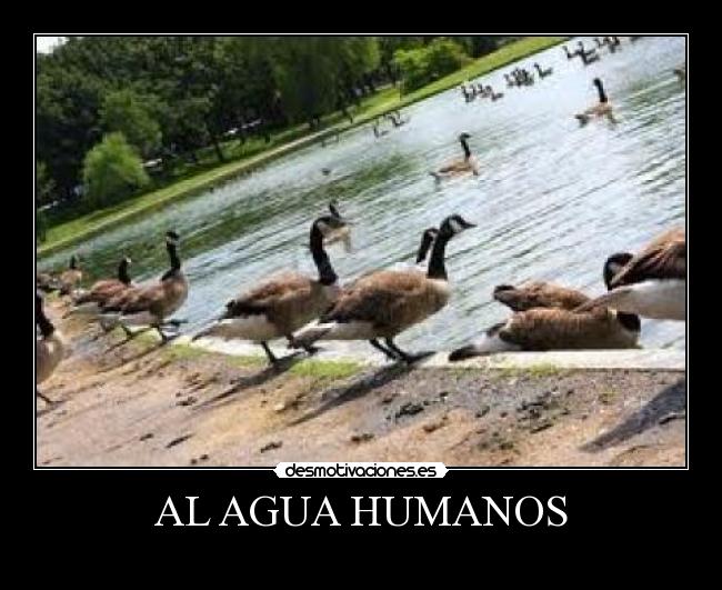 AL AGUA HUMANOS -