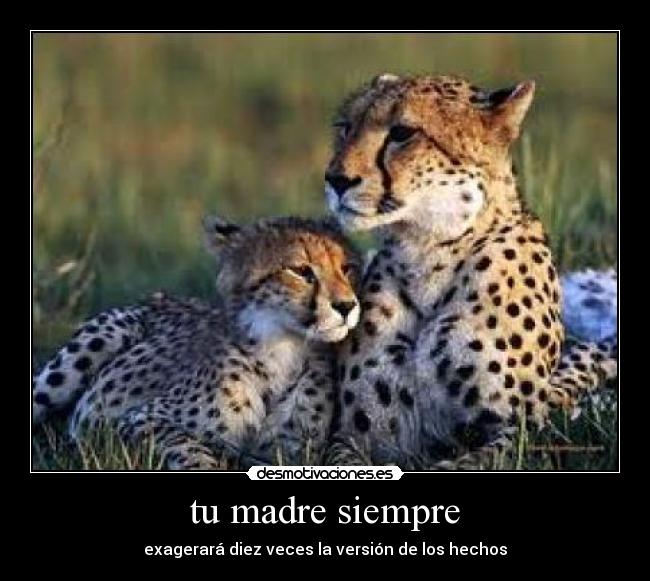 tu madre siempre - exagerará diez veces la versión de los hechos