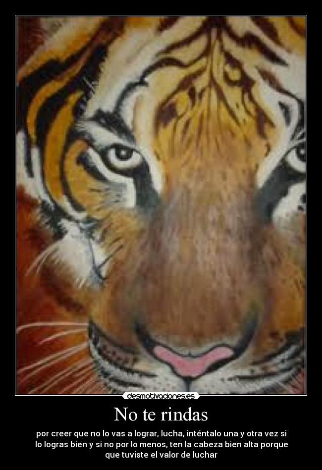 No te rindas -