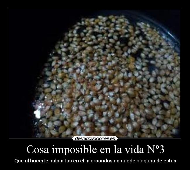 Cosa imposible en la vida Nº3 -