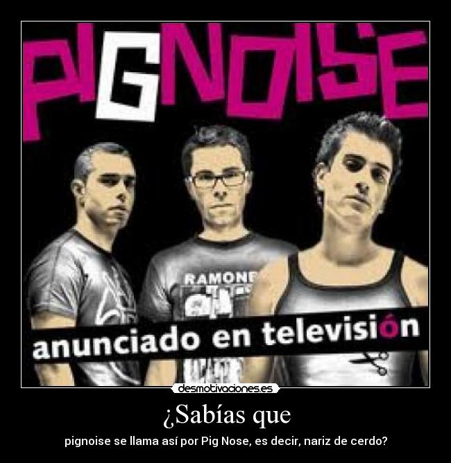 ¿Sabías que - pignoise se llama así por Pig Nose, es decir, nariz de cerdo?
