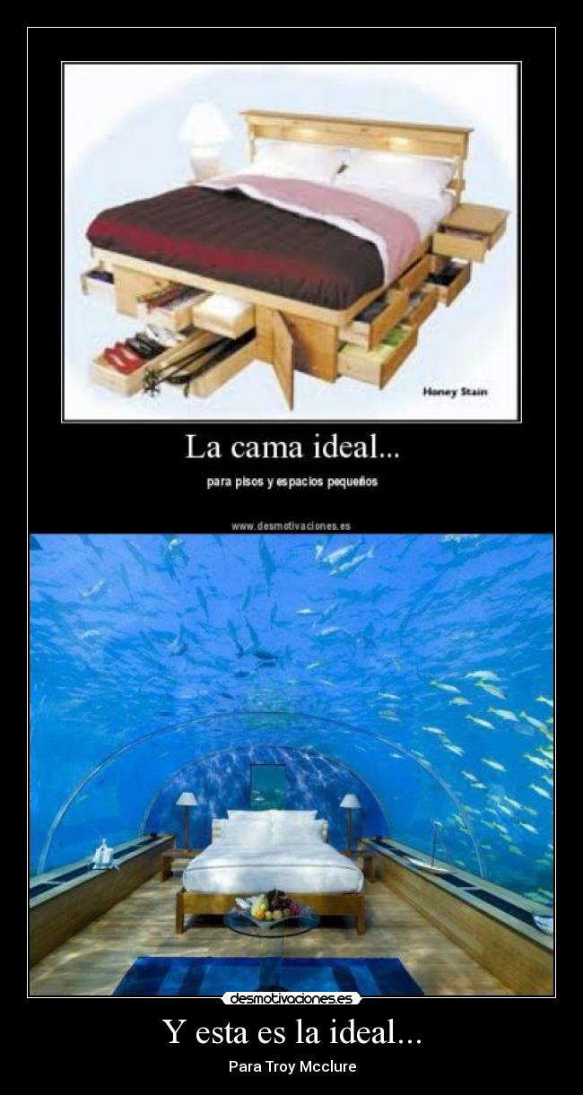 Y esta es la ideal... -