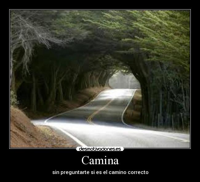 Camina - sin preguntarte si es el camino correcto