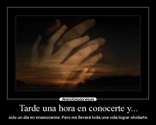 Tarde una hora en conocerte y... - solo un día en enamorarme. Pero me llevará toda una vida lograr olvidarte.