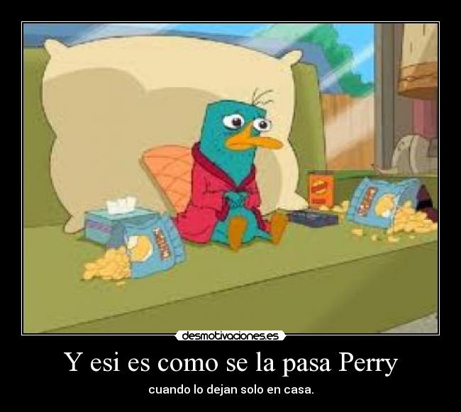 Y esi es como se la pasa Perry -