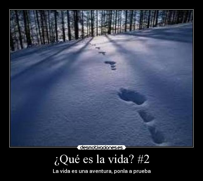¿Qué es la vida? #2 -