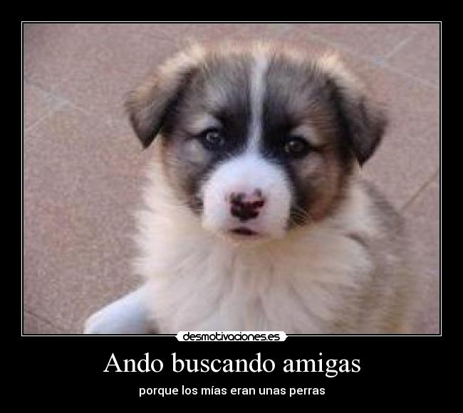 Ando buscando amigas -