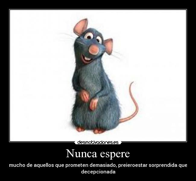 Nunca espere - 