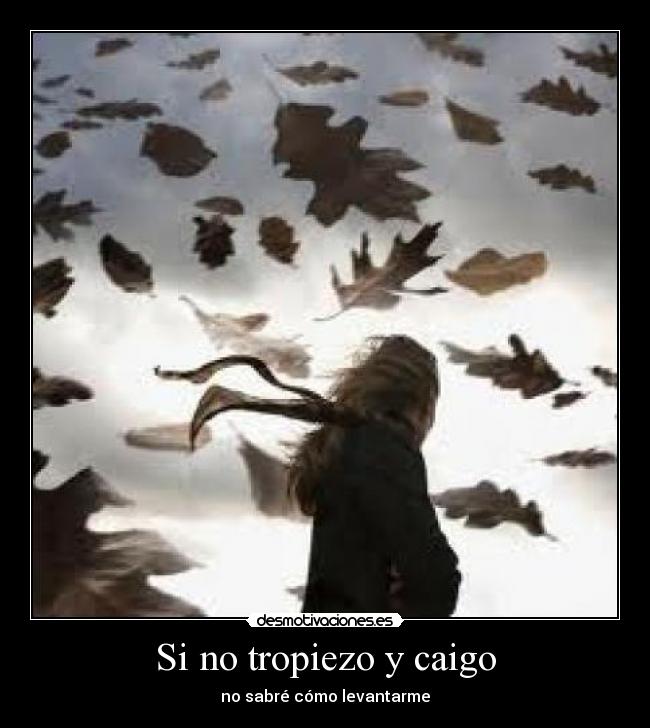 Si no tropiezo y caigo - no sabré cómo levantarme