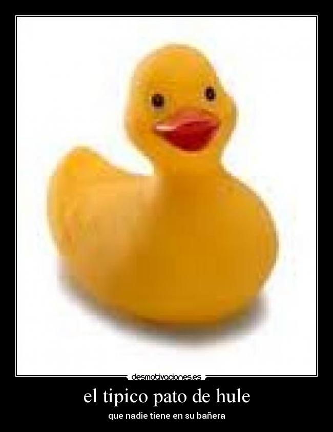 el tipico pato de hule - 