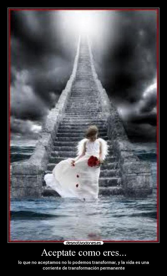 Aceptate como eres... - lo que no aceptamos no lo podemos transformar, y la vida es una
corriente de transformación permanente