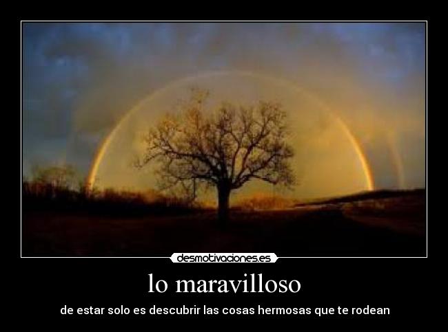 lo maravilloso - de estar solo es descubrir las cosas hermosas que te rodean