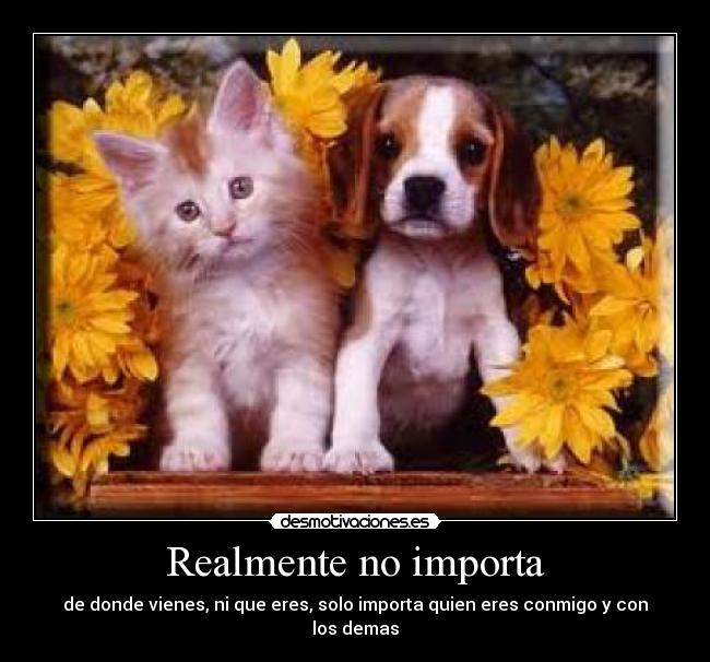 carteles vtrxchycvju desmotivaciones