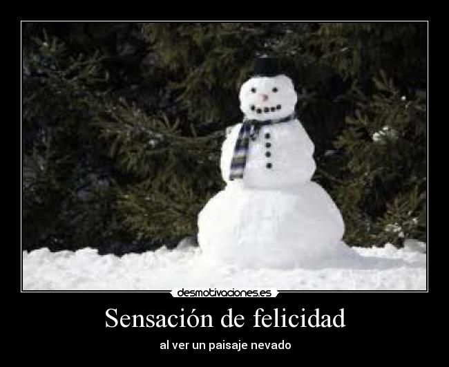 Sensación de felicidad - al ver un paisaje nevado