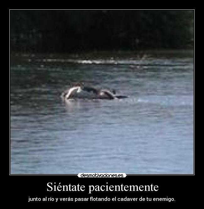 Siéntate pacientemente - junto al río y verás pasar flotando el cadaver de tu enemigo.