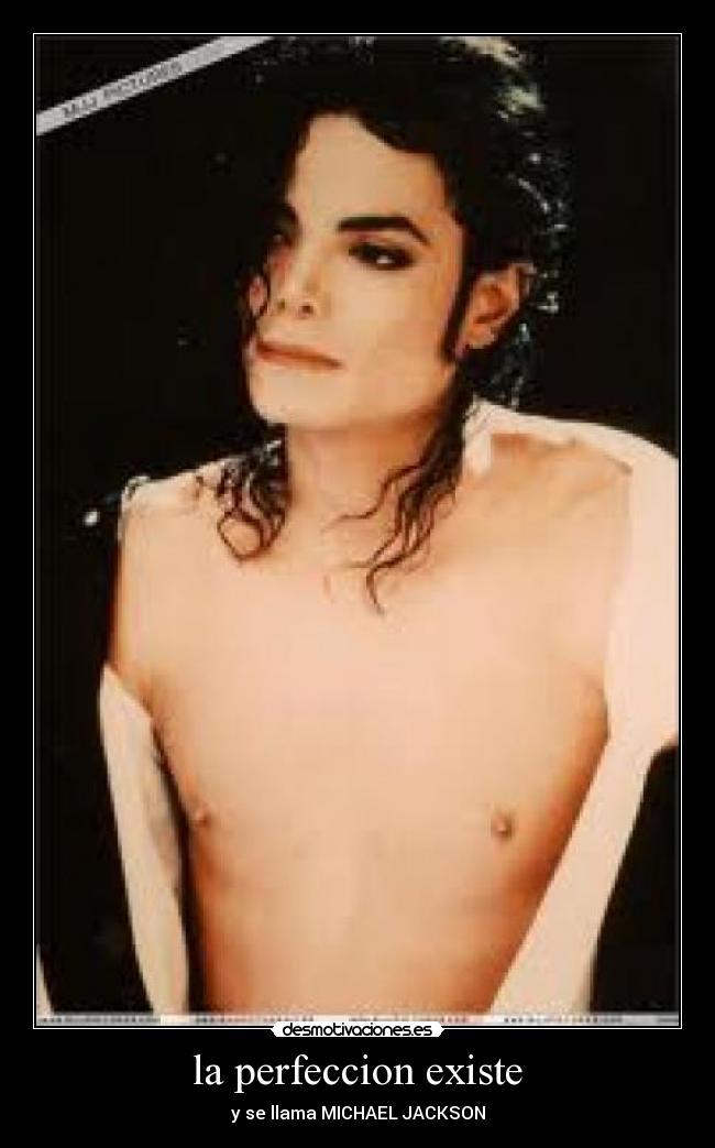 la perfeccion existe -