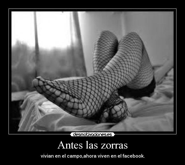 Antes las zorras -