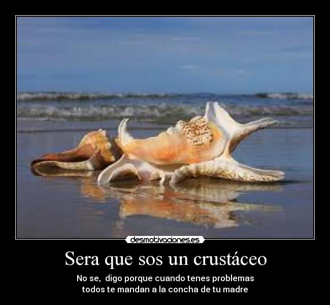 Sera que sos un crustáceo - No se, digo porque cuando tenes problemas
todos te mandan a la concha de tu madre