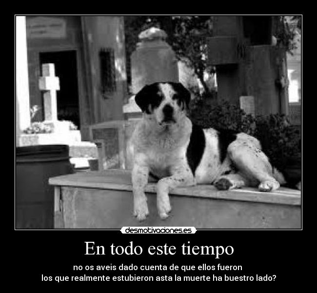 En todo este tiempo - no os aveis dado cuenta de que ellos fueron 
los que realmente estubieron asta la muerte ha buestro lado?
