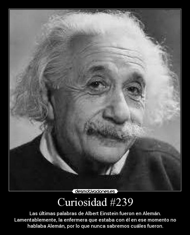 Curiosidad #239 - 