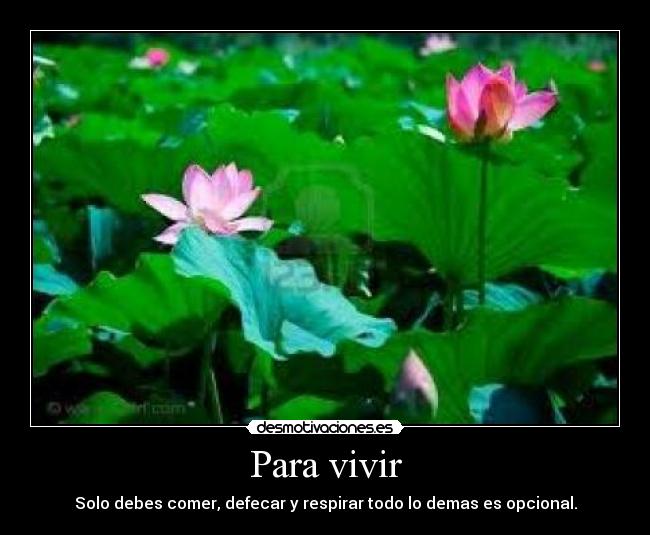 Para vivir - 