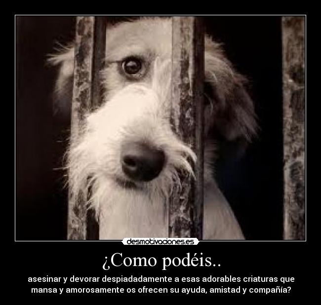 ¿Como podéis.. - asesinar y devorar despiadadamente a esas adorables criaturas que
mansa y amorosamente os ofrecen su ayuda, amistad y compañía?