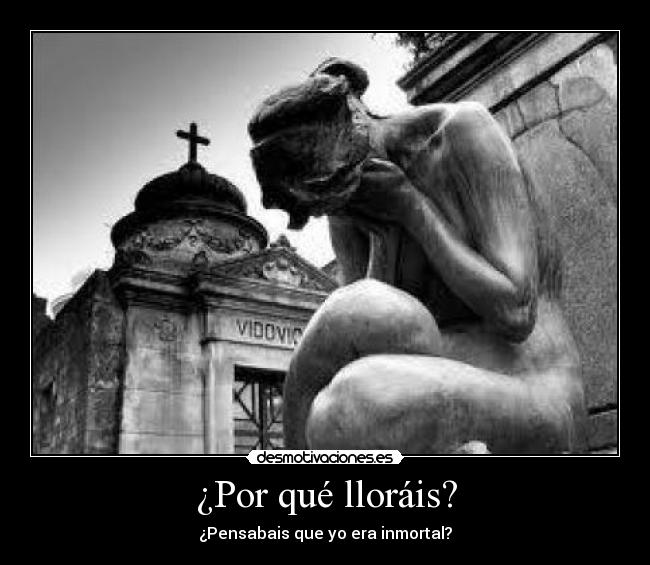 ¿Por qué lloráis? - 