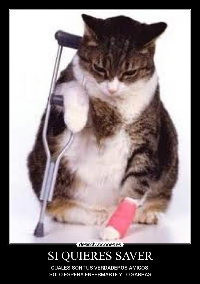 SI QUIERES SAVER - CUALES SON TUS VERDADEROS AMIGOS,
SOLO ESPERA ENFERMARTE Y LO SABRAS