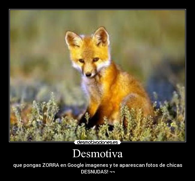 Desmotiva - que pongas ZORRA en Google imagenes y te aparescan fotos de chicas
DESNUDAS! ¬¬