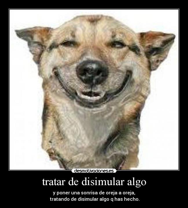 carteles senor las desmotivaciones desmotivaciones