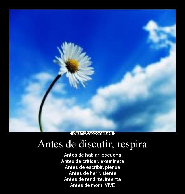 Antes de discutir, respira - Antes de hablar, escucha
Antes de criticar, examínate
Antes de escribir, piensa
Antes de herir, siente
Antes de rendirte, intenta
Antes de morir, VIVE